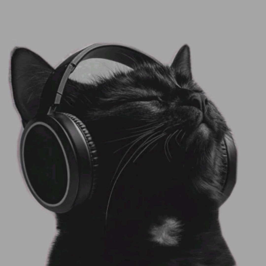 ʙʟᴀᴄᴋ ᴄᴀᴛ