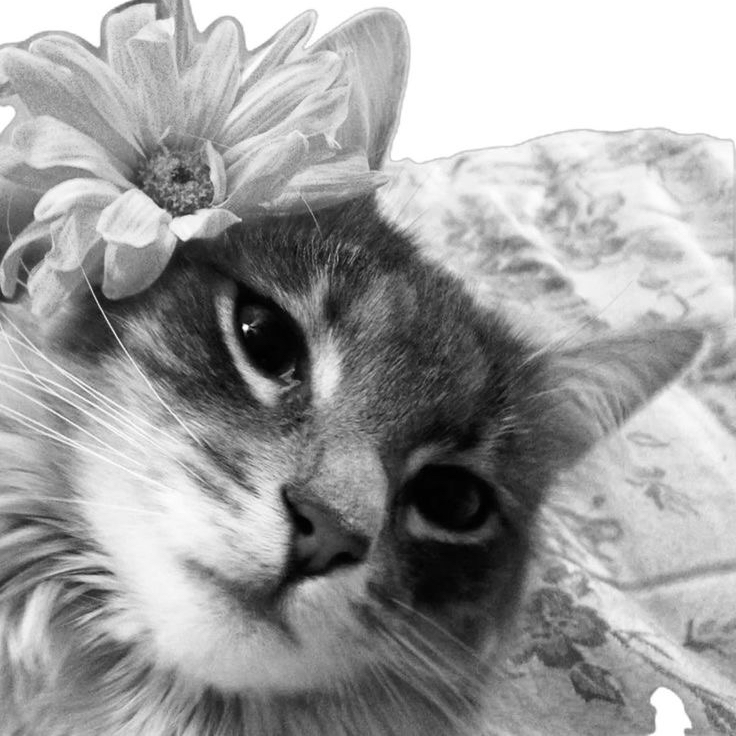 QUEENCY👸🎀