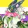 >⩊< Miascarade ── .✦