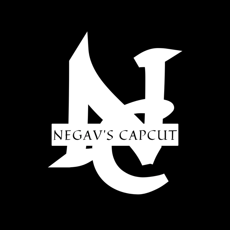 Negav's |LDR|