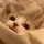 찬비