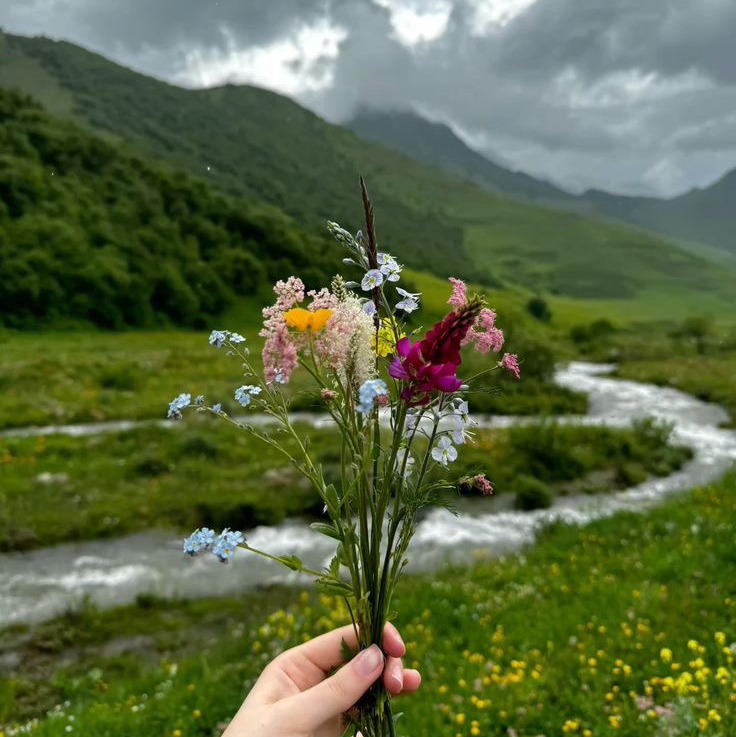 Bellaaisy1