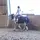 PoppyRidingAdventure