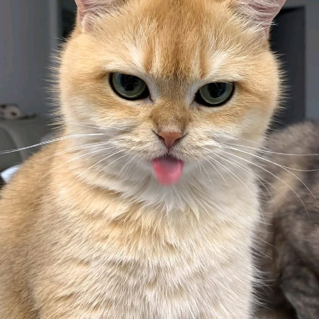 Wxy