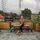 Asha Tisya