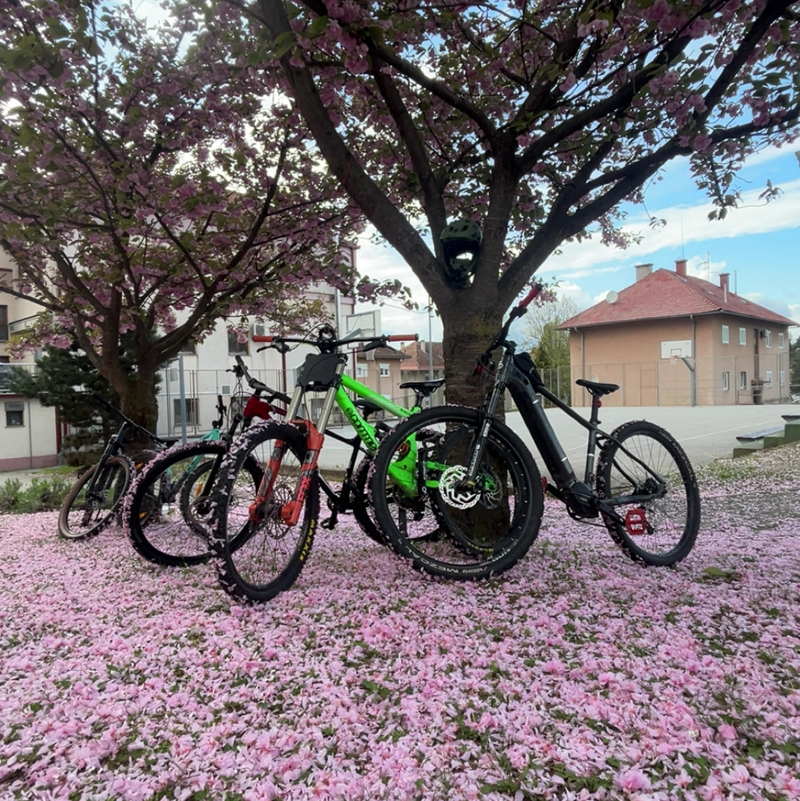 Mark_editz🇭🇷