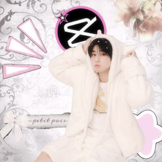 ✧⋆❀ ᵖᵉᵗⁱᵗ 𝖕𝑜𝚒𝐬❀⋆✧ 🎗️🧷