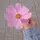 Mary_NewPost