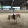 Leni_eventing14