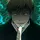 NAOYA ZENIN