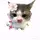 [LE] Len_26