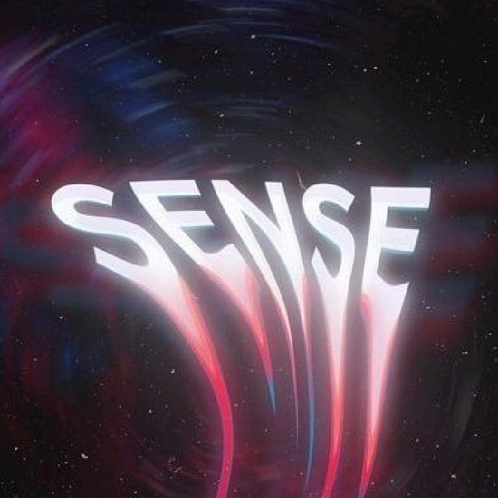 SenVisa 💎