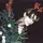 @ ⋮ ℛₑᵢ ⋆ (⌗🎄ིྀ)