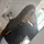 Maylis 
