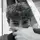 Bekh_temp🏴‍☠️