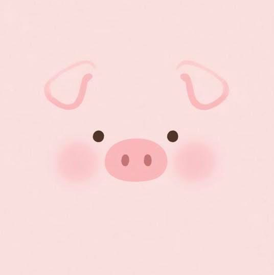 หมูอ้วนน🐽