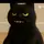 gato preto 