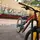 Mtb_Xav