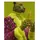 editor63842673Deva61