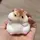 인절미🐹(시험기간 솥없음!!!!!!)