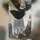 vxnessx_stg0711