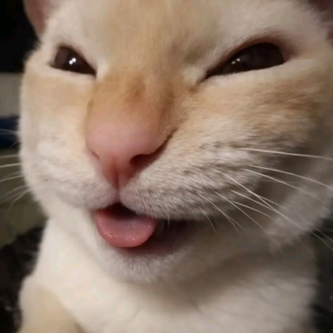 Elz