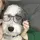 AlfieriEditz