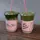 matchalatte [TOP]