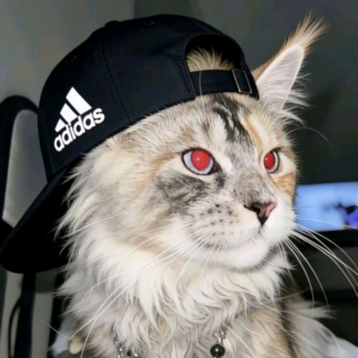 𝙐𝙣𝙠𝙣𝙤𝙬𝙣