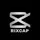 RIXCAP