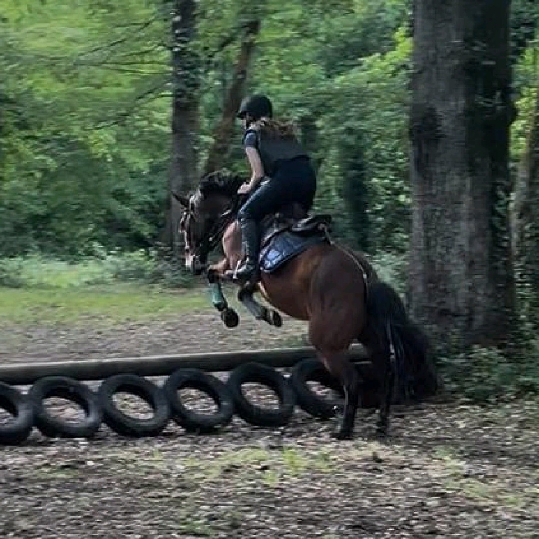 ~°Emma&les chevaux°~