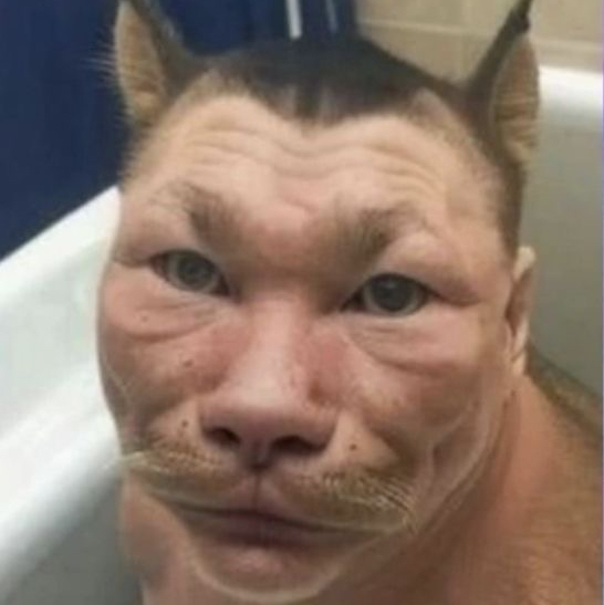 KENZZ736