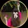 𝐋𝐚𝐦𝐢𝐬𝐚✰🌺🎀