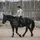 Jerry the gelding🤍