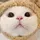 iinhafizar [CM]