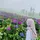 Leaaa [WH]