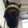 Alastor_whoyk