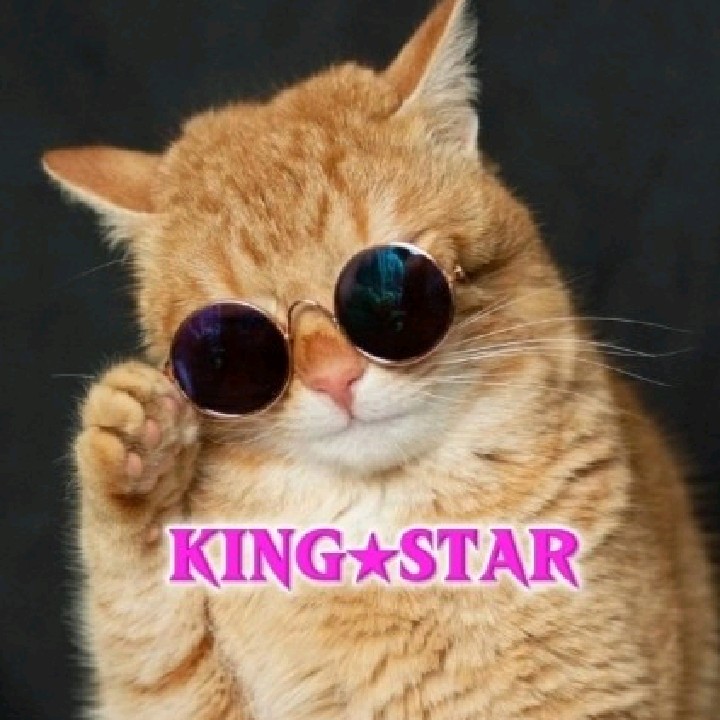 KUNG‌‌★STAR