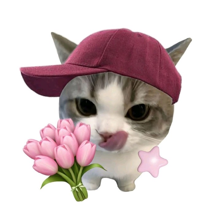 🆂🆃🅴🆅🅴🅽 💖