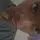 Anj