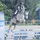 Julia_Horses