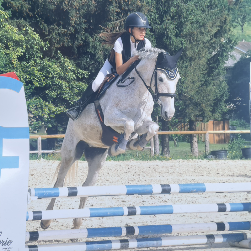 Julia_Horses