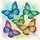 Butterfly26