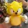 Sonicduck