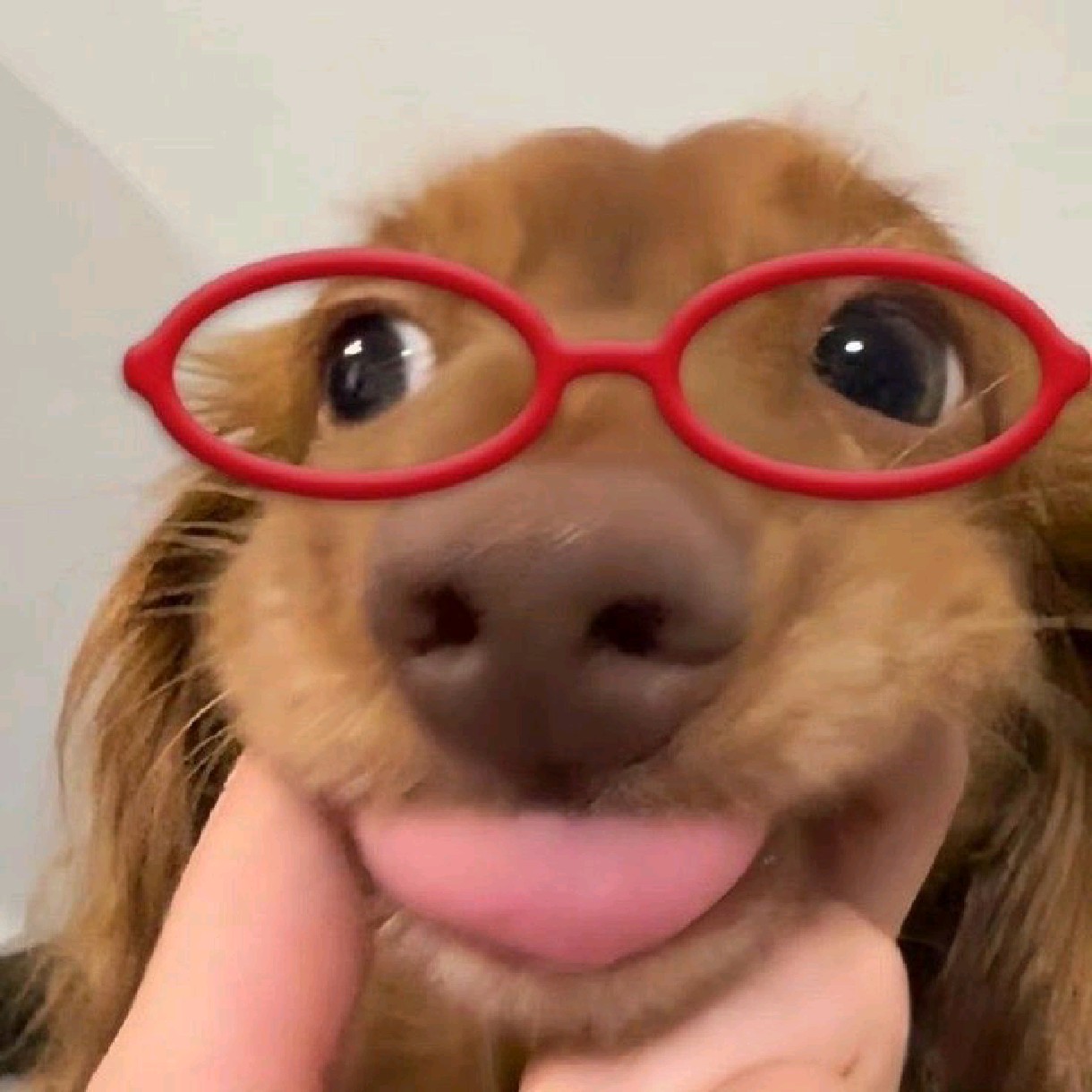 nafiie