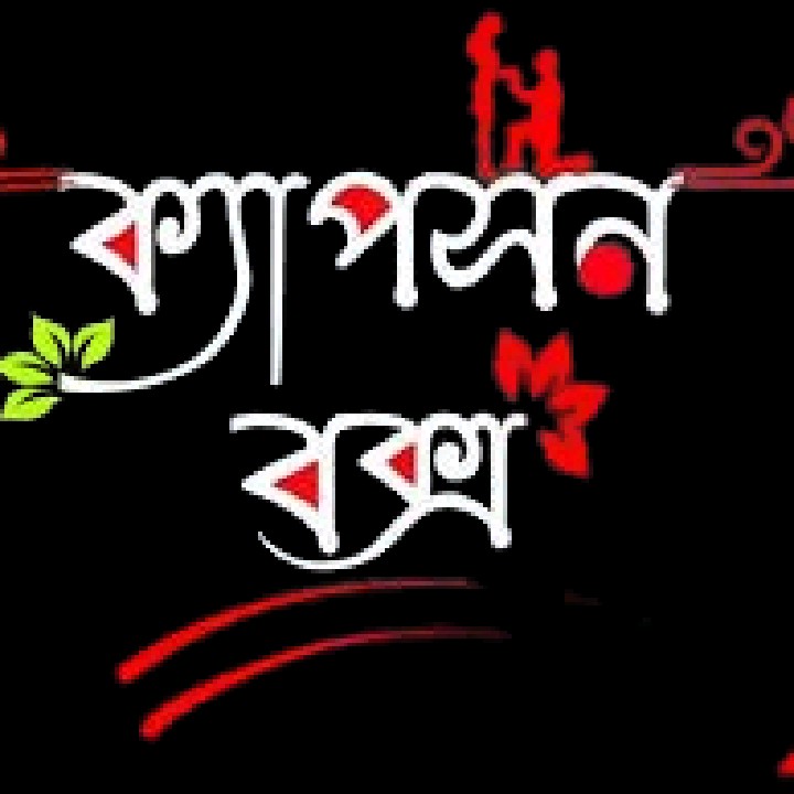 ক্যাপশন বক্স