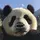 pandaedits