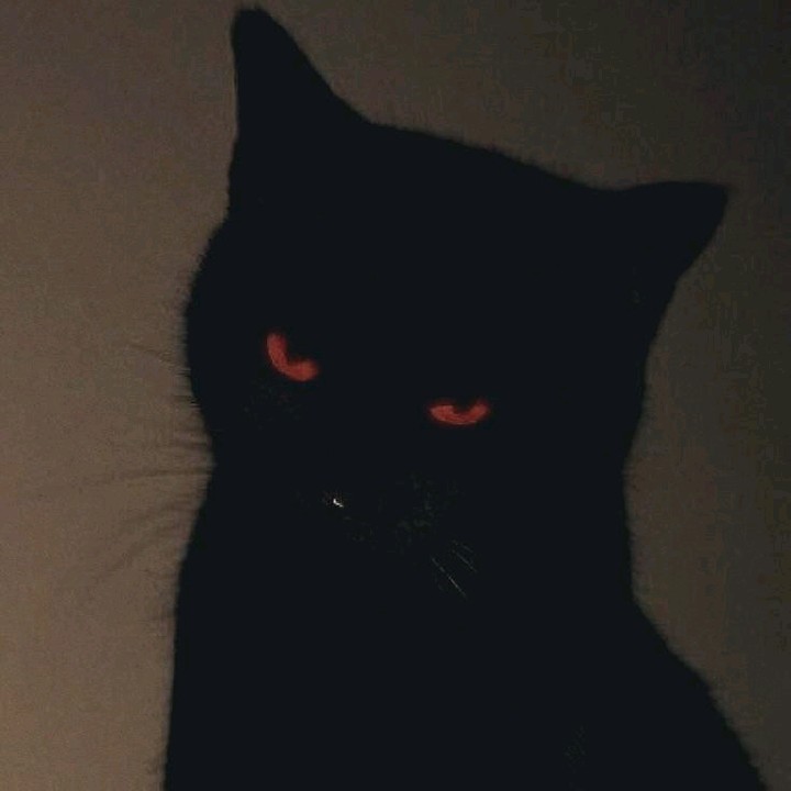 zzaell