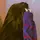 Pesho_typist0