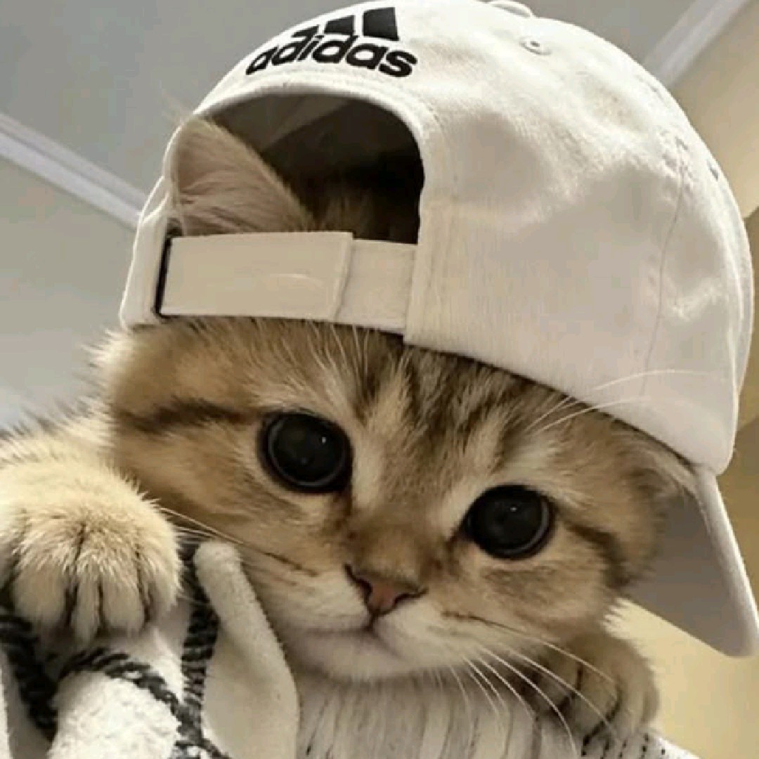 Yogsz[AR]